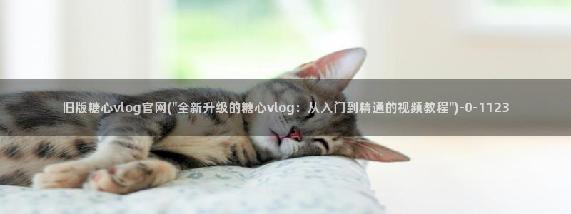 糖心vlog介绍：旧版糖心vlog官网(\