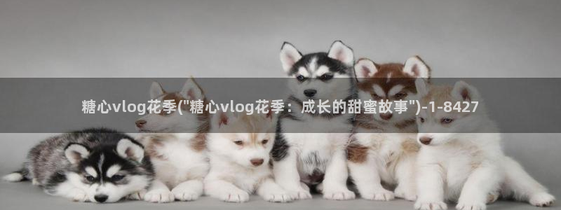 生物女老师糖心vlog：糖心vlog花季(\