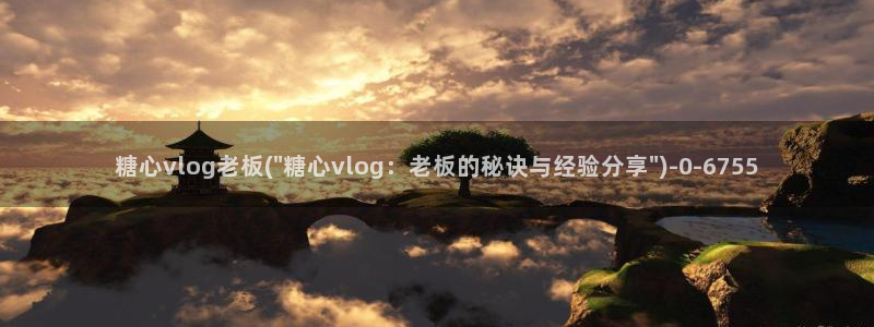 糖心vlog车牌号：糖心vlog老板(\